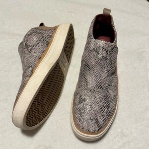 Tom’s Paxton Cobblestone Snakeskin Slip-On Chukka Sneaker Size 8.5
